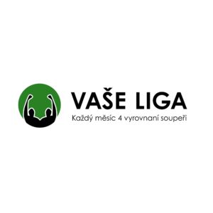 VAŠE LIGA